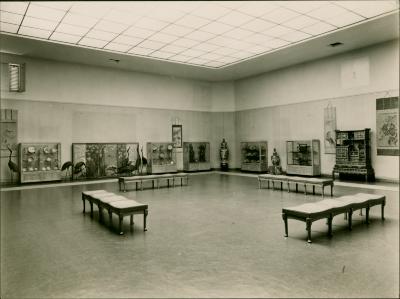 Exposición de Arte Oriental