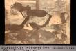[Exposición La Pintura Francesa de David a nuestros días foto-37-04]